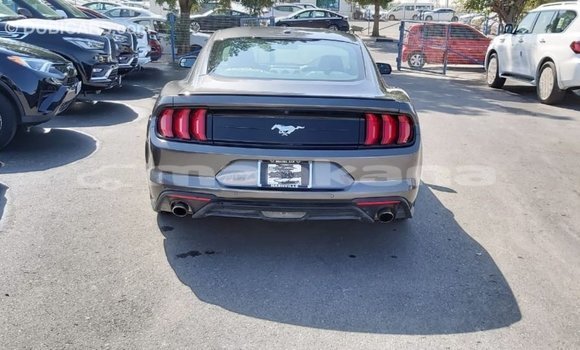 Buy Import Ford Mustang Other Car in Import - Dubai in Abhasia Buy Import Ford Mustang Other Car in Import - Dubai in Abhasia