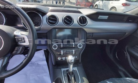 Buy Import Ford Mustang Other Car in Import - Dubai in Abhasia Buy Import Ford Mustang Other Car in Import - Dubai in Abhasia
