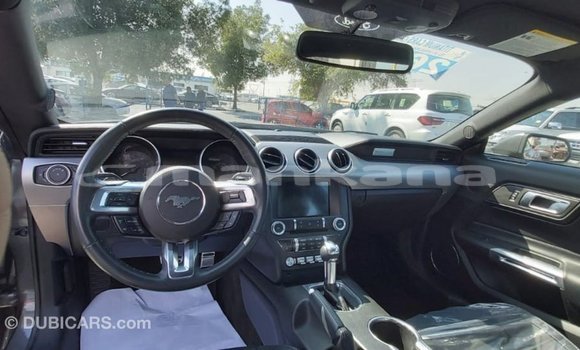 Buy Import Ford Mustang Other Car in Import - Dubai in Abhasia Buy Import Ford Mustang Other Car in Import - Dubai in Abhasia
