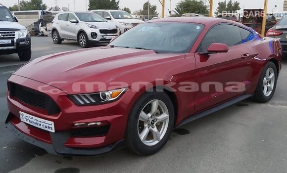 Buy Import Ford Mustang Red Car in Import - Dubai in Abhasia Buy Import Ford Mustang Red Car in Import - Dubai in Abhasia