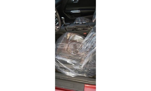Buy Import Ford Mustang Red Car in Import - Dubai in Abhasia Buy Import Ford Mustang Red Car in Import - Dubai in Abhasia