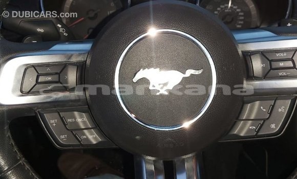 Buy Import Ford Mustang Red Car in Import - Dubai in Abhasia Buy Import Ford Mustang Red Car in Import - Dubai in Abhasia