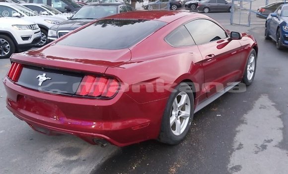 Buy Import Ford Mustang Red Car in Import - Dubai in Abhasia Buy Import Ford Mustang Red Car in Import - Dubai in Abhasia