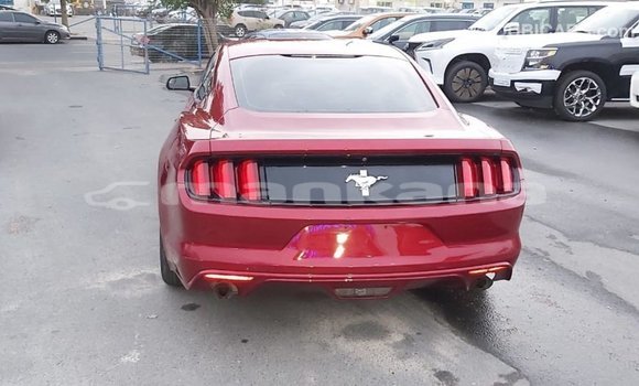 Buy Import Ford Mustang Red Car in Import - Dubai in Abhasia Buy Import Ford Mustang Red Car in Import - Dubai in Abhasia