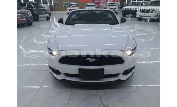 Buy Import Ford Mustang White Car in Import - Dubai in Abhasia Buy Import Ford Mustang White Car in Import - Dubai in Abhasia