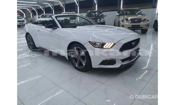 Buy Import Ford Mustang White Car in Import - Dubai in Abhasia Buy Import Ford Mustang White Car in Import - Dubai in Abhasia
