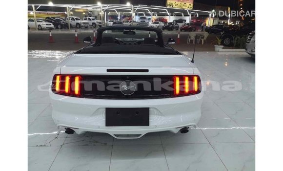 Buy Import Ford Mustang White Car in Import - Dubai in Abhasia Buy Import Ford Mustang White Car in Import - Dubai in Abhasia
