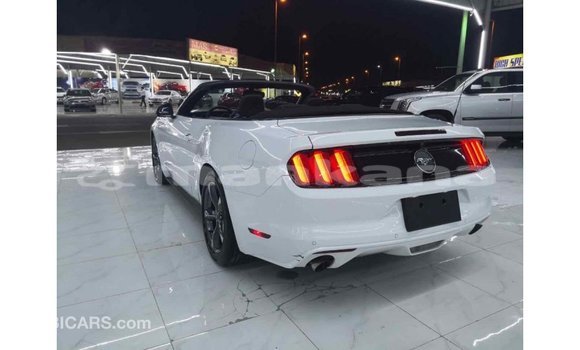 Buy Import Ford Mustang White Car in Import - Dubai in Abhasia Buy Import Ford Mustang White Car in Import - Dubai in Abhasia