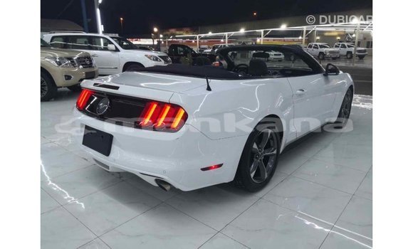 Buy Import Ford Mustang White Car in Import - Dubai in Abhasia Buy Import Ford Mustang White Car in Import - Dubai in Abhasia