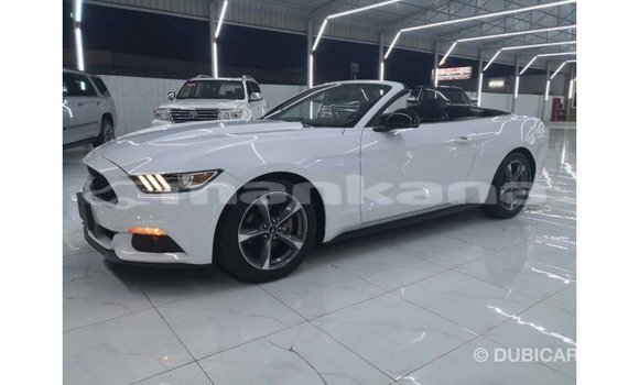 Buy Import Ford Mustang White Car in Import - Dubai in Abhasia Buy Import Ford Mustang White Car in Import - Dubai in Abhasia