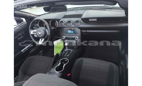 Buy Import Ford Mustang White Car in Import - Dubai in Abhasia