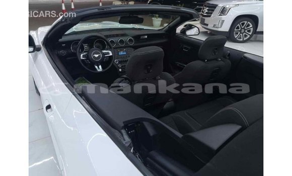 Buy Import Ford Mustang White Car in Import - Dubai in Abhasia Buy Import Ford Mustang White Car in Import - Dubai in Abhasia