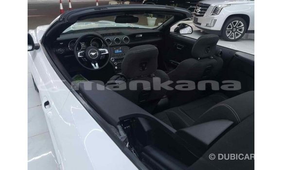 Buy Import Ford Mustang White Car in Import - Dubai in Abhasia Buy Import Ford Mustang White Car in Import - Dubai in Abhasia