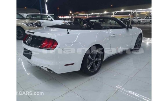 Buy Import Ford Mustang White Car in Import - Dubai in Abhasia Buy Import Ford Mustang White Car in Import - Dubai in Abhasia