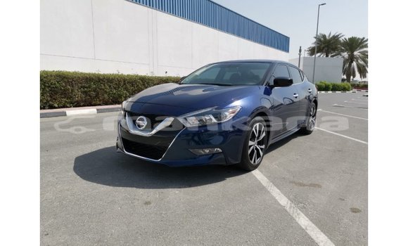Buy Import Nissan Maxima Blue Car in Import - Dubai in Abhasia Buy Import Nissan Maxima Blue Car in Import - Dubai in Abhasia