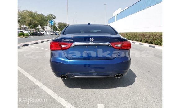 Buy Import Nissan Maxima Blue Car in Import - Dubai in Abhasia Buy Import Nissan Maxima Blue Car in Import - Dubai in Abhasia