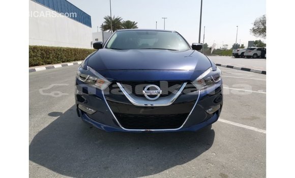 Buy Import Nissan Maxima Blue Car in Import - Dubai in Abhasia Buy Import Nissan Maxima Blue Car in Import - Dubai in Abhasia