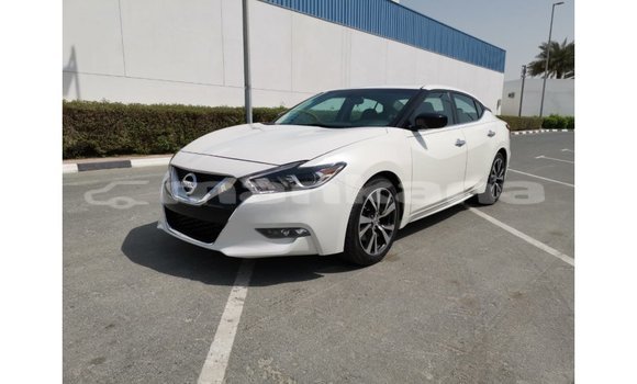 Buy Import Nissan Maxima White Car in Import - Dubai in Abhasia Buy Import Nissan Maxima White Car in Import - Dubai in Abhasia