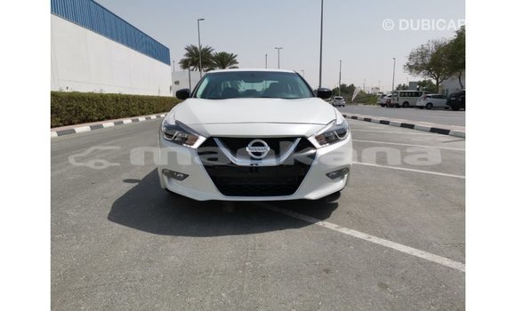 Buy Import Nissan Maxima White Car in Import - Dubai in Abhasia Buy Import Nissan Maxima White Car in Import - Dubai in Abhasia