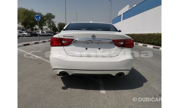 Buy Import Nissan Maxima White Car in Import - Dubai in Abhasia Buy Import Nissan Maxima White Car in Import - Dubai in Abhasia