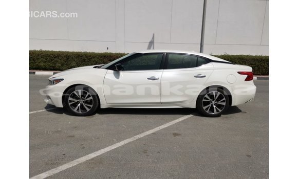 Buy Import Nissan Maxima White Car in Import - Dubai in Abhasia Buy Import Nissan Maxima White Car in Import - Dubai in Abhasia