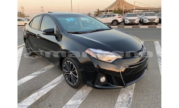 Buy Import Toyota Corolla Black Car in Import - Dubai in Abhasia Buy Import Toyota Corolla Black Car in Import - Dubai in Abhasia