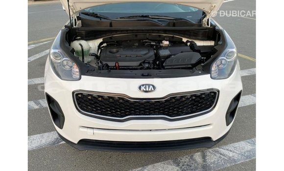 Buy Import Kia Sportage White Car in Import - Dubai in Abhasia Buy Import Kia Sportage White Car in Import - Dubai in Abhasia