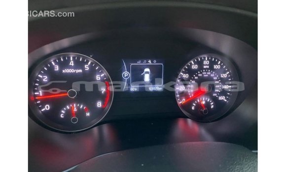 Buy Import Kia Sportage White Car in Import - Dubai in Abhasia Buy Import Kia Sportage White Car in Import - Dubai in Abhasia