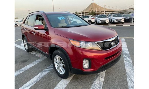 Buy Import Kia Sorento Red Car in Import - Dubai in Abhasia Buy Import Kia Sorento Red Car in Import - Dubai in Abhasia