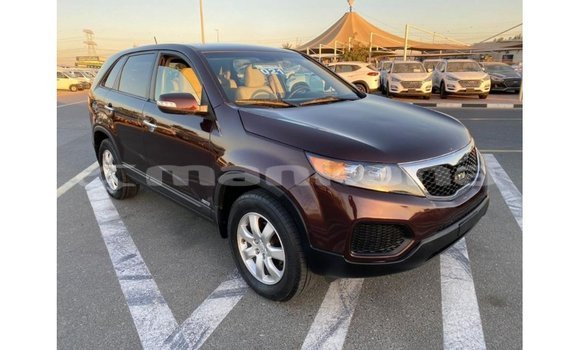 Buy Import Kia Sorento Brown Car in Import - Dubai in Abhasia Buy Import Kia Sorento Brown Car in Import - Dubai in Abhasia