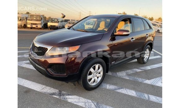 Buy Import Kia Sorento Brown Car in Import - Dubai in Abhasia Buy Import Kia Sorento Brown Car in Import - Dubai in Abhasia