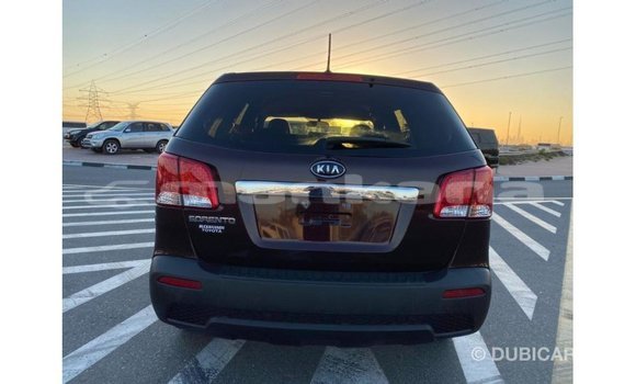 Buy Import Kia Sorento Brown Car in Import - Dubai in Abhasia Buy Import Kia Sorento Brown Car in Import - Dubai in Abhasia