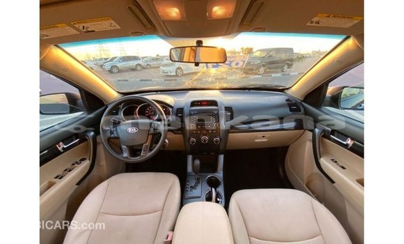 Buy Import Kia Sorento Brown Car in Import - Dubai in Abhasia Buy Import Kia Sorento Brown Car in Import - Dubai in Abhasia