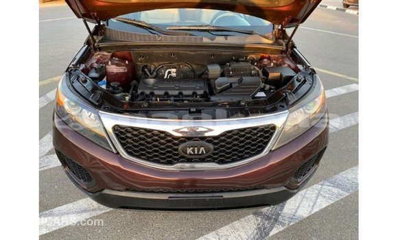 Buy Import Kia Sorento Brown Car in Import - Dubai in Abhasia Buy Import Kia Sorento Brown Car in Import - Dubai in Abhasia