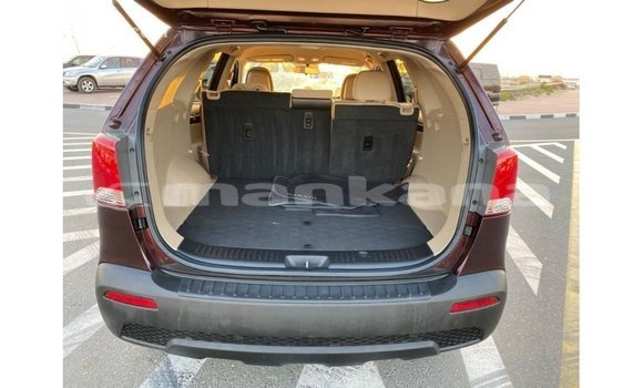 Buy Import Kia Sorento Brown Car in Import - Dubai in Abhasia Buy Import Kia Sorento Brown Car in Import - Dubai in Abhasia