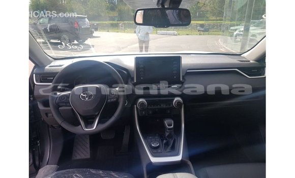 Buy Import Toyota HiAce Other Truck in Import - Dubai in Abhasia Buy Import Toyota HiAce Other Truck in Import - Dubai in Abhasia