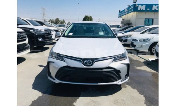 Buy Import Toyota Corolla White Car in Import - Dubai in Abhasia Buy Import Toyota Corolla White Car in Import - Dubai in Abhasia