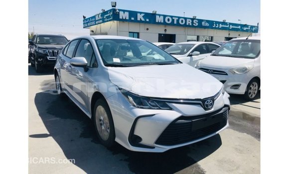 Buy Import Toyota Corolla White Car in Import - Dubai in Abhasia Buy Import Toyota Corolla White Car in Import - Dubai in Abhasia