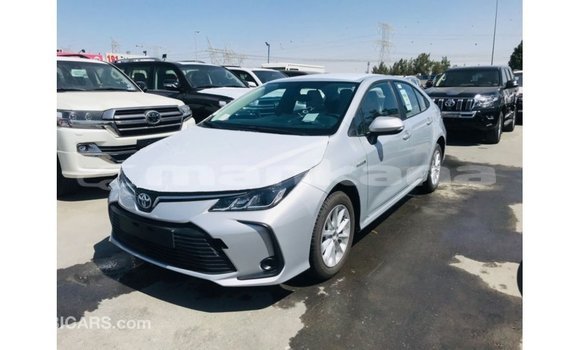 Buy Import Toyota Corolla White Car in Import - Dubai in Abhasia Buy Import Toyota Corolla White Car in Import - Dubai in Abhasia
