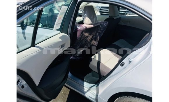 Buy Import Toyota Corolla White Car in Import - Dubai in Abhasia Buy Import Toyota Corolla White Car in Import - Dubai in Abhasia