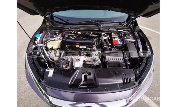 Buy Import Honda Civic Other Car in Import - Dubai in Abhasia Buy Import Honda Civic Other Car in Import - Dubai in Abhasia