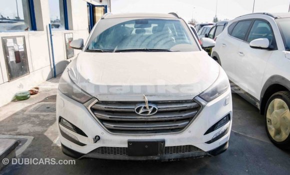 Buy Import Hyundai Tucson White Car in Import - Dubai in Abhasia Buy Import Hyundai Tucson White Car in Import - Dubai in Abhasia
