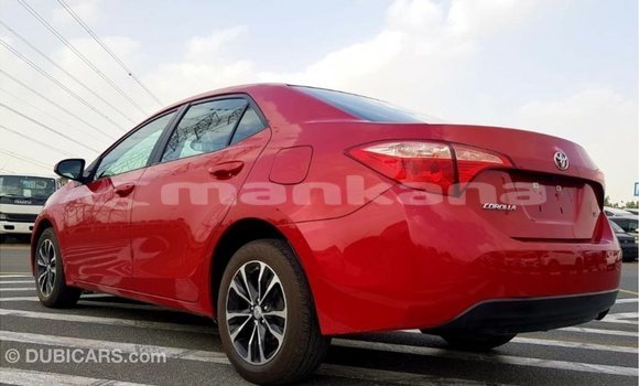 Buy Import Toyota Corolla Red Car in Import - Dubai in Abhasia Buy Import Toyota Corolla Red Car in Import - Dubai in Abhasia