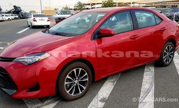 Buy Import Toyota Corolla Red Car in Import - Dubai in Abhasia Buy Import Toyota Corolla Red Car in Import - Dubai in Abhasia