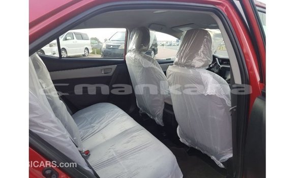 Buy Import Toyota Corolla Red Car in Import - Dubai in Abhasia Buy Import Toyota Corolla Red Car in Import - Dubai in Abhasia