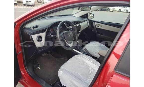 Buy Import Toyota Corolla Red Car in Import - Dubai in Abhasia Buy Import Toyota Corolla Red Car in Import - Dubai in Abhasia