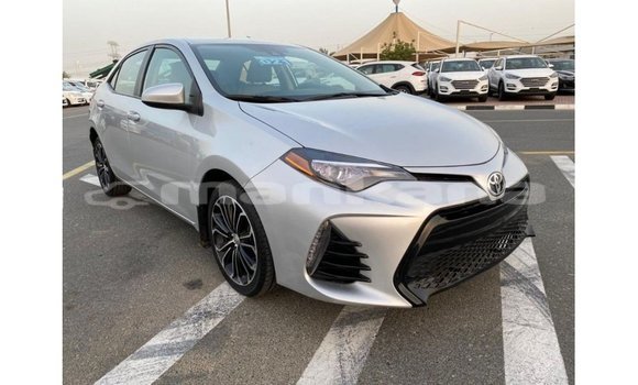 Buy Import Toyota Corolla Other Car in Import - Dubai in Abhasia Buy Import Toyota Corolla Other Car in Import - Dubai in Abhasia