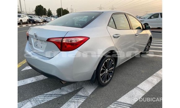 Buy Import Toyota Corolla Other Car in Import - Dubai in Abhasia Buy Import Toyota Corolla Other Car in Import - Dubai in Abhasia