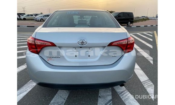 Buy Import Toyota Corolla Other Car in Import - Dubai in Abhasia Buy Import Toyota Corolla Other Car in Import - Dubai in Abhasia