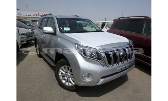 Buy Import Toyota Prado Other Car in Import - Dubai in Abhasia Buy Import Toyota Prado Other Car in Import - Dubai in Abhasia